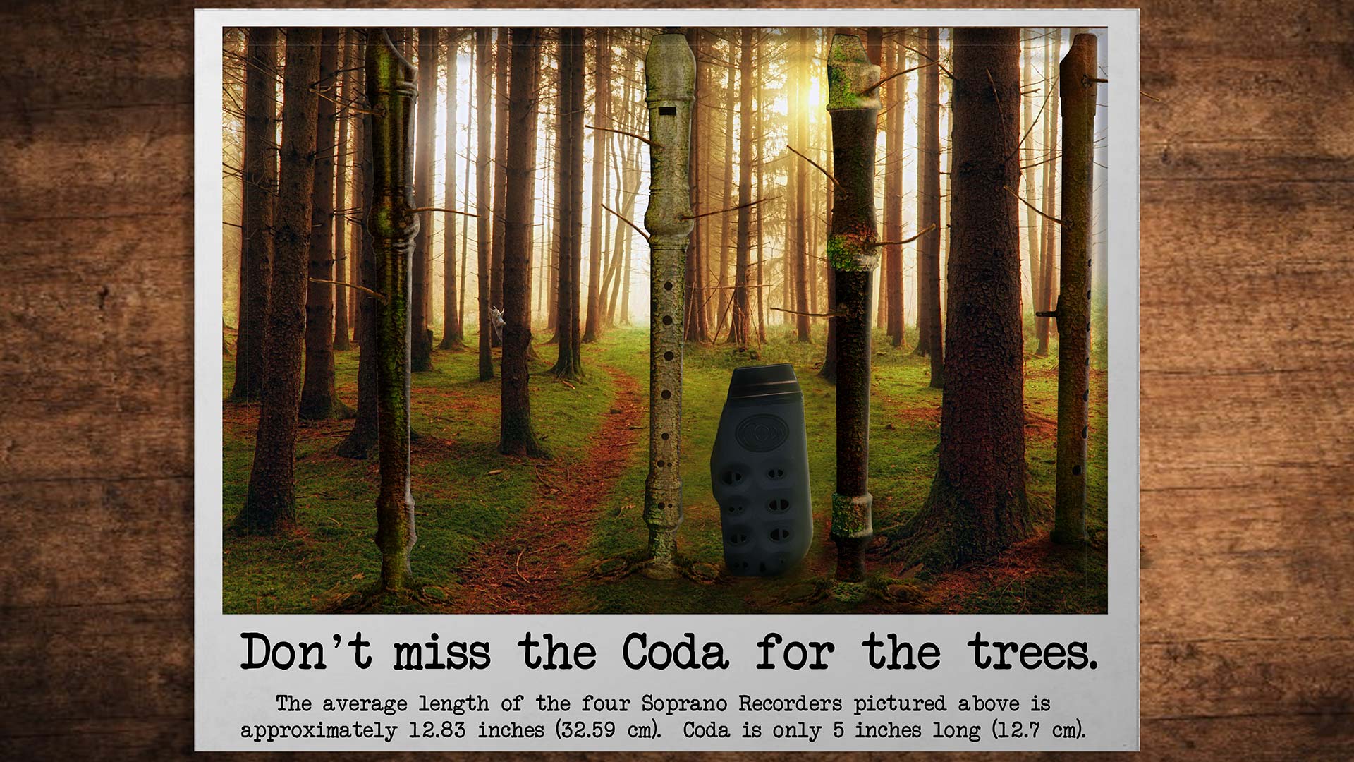 Don't miss the Coda for the trees!